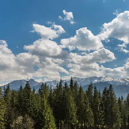 Apartament Fokus Zakopane - * Koscielisko